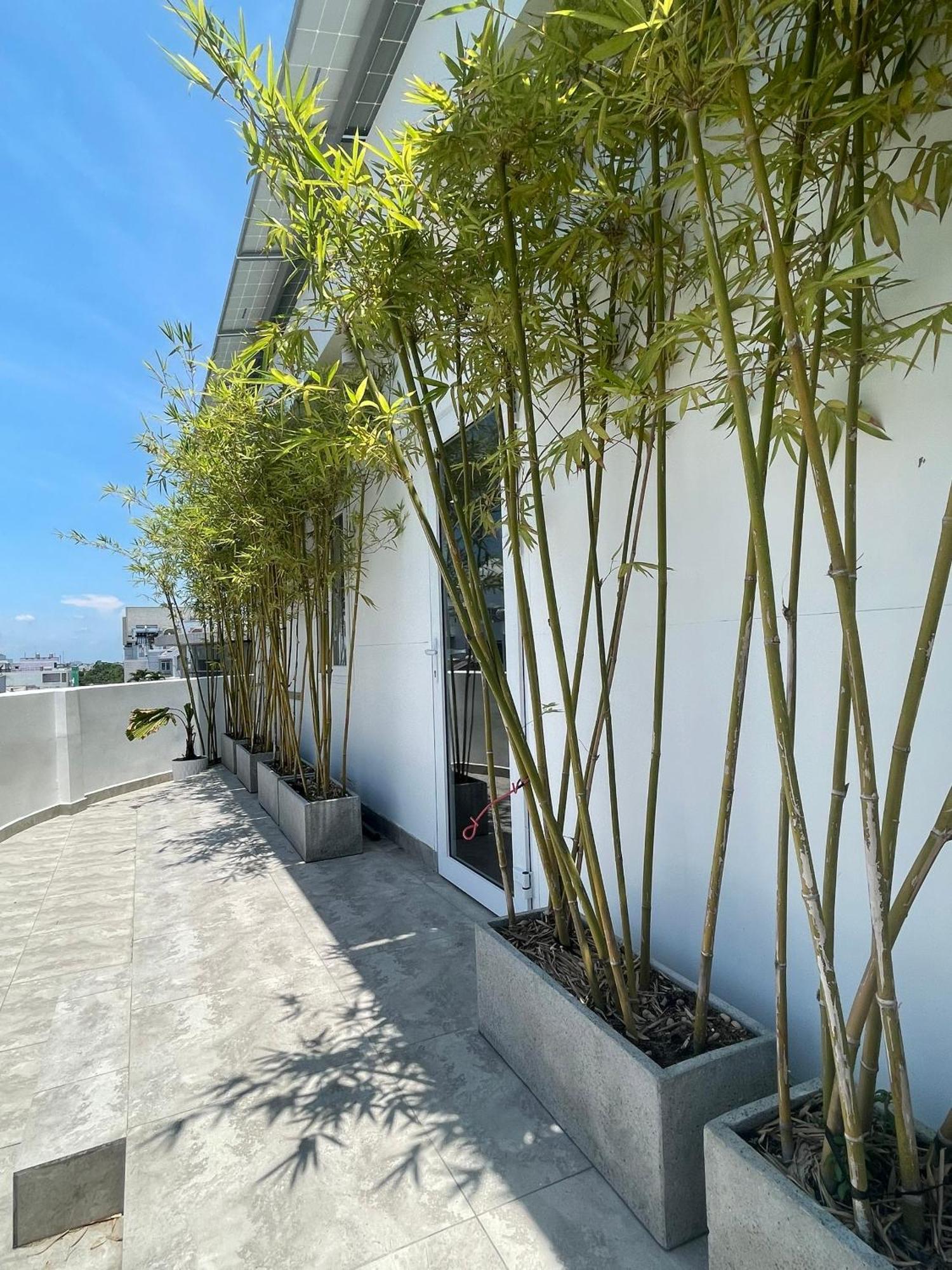 The Ck Hotel Тяудок Екстер'єр фото
